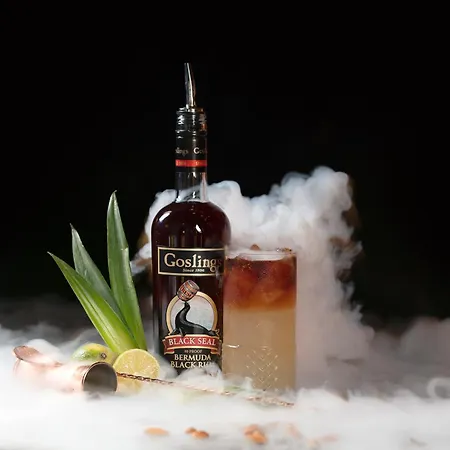 De Leijhof Oisterwijk