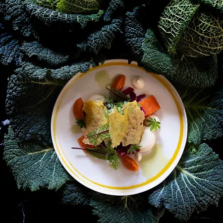 Otel De Leijhof Oisterwijk