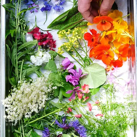 De Leijhof Szálloda 4*