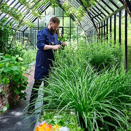 De Leijhof Otel Oisterwijk