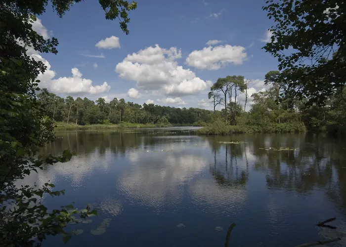 Hotel De Leijhof Oisterwijk